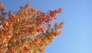 Classics: 10 Reasons Why Fall is Better than Summer