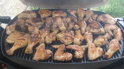 Weber Grill Antonio