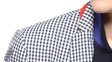 Would you wear it?  The $75 REALLY Gingham Sport Coat