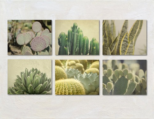 PureNaturePhotos Cactus Prints