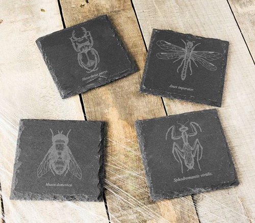 Set of 4 Insect Slate Coasters