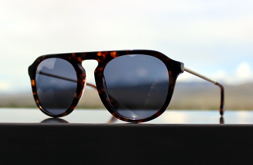 J. Crew Palma Sunglasses
