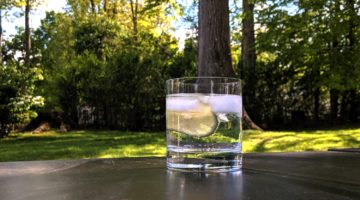 The Gins of Spring (and summer) – A Salute to this warm weather Spirit