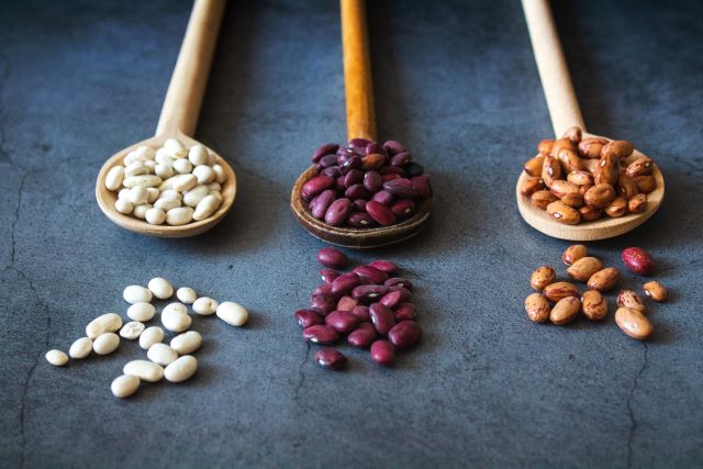 Dried beans in wooden spoons