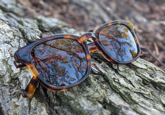 Target Goodfellow & Co. Acetate-Frame Sunglasses