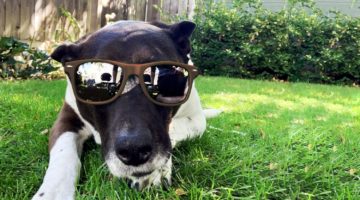 Steal Alert: Nordy Rack Extra 20% off select Sunglasses & Swim (Ray-Ban, Bonobos)