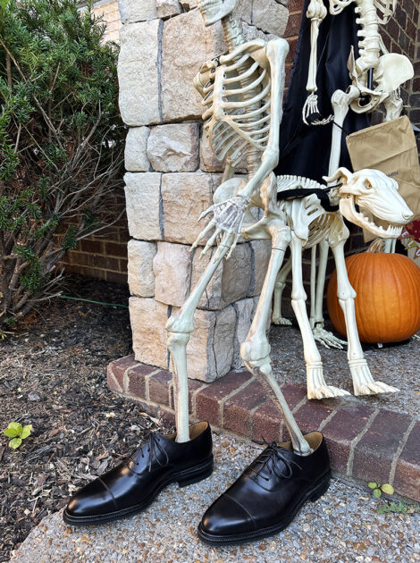 Meermin Cap Toe Oxfords on skeleton